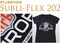 Cotton Sublimation Transfer Paper Forever SUBLI – Flex 202 (100 Sheets) 11x17